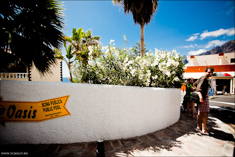 029 www.ychilov.ru foto tenerife.jpg