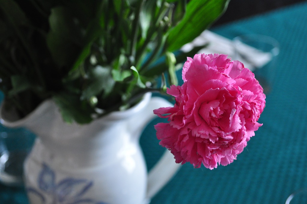 [DSC_96695.jpg]