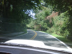 IMG00324-20090810-1050.jpg