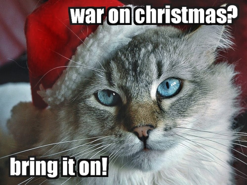 [catxmas%255B2%255D.jpg]