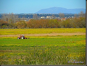 SAM_0066 SAM_0066