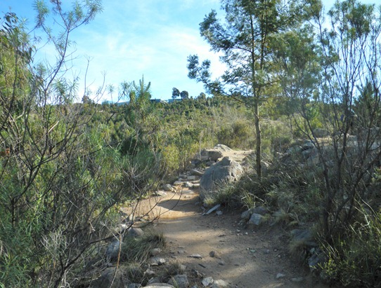 P5270002