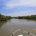 IMG_5230.JPG