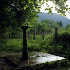 img099.jpg