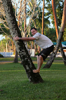 Climbing for coconuts