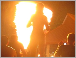 IMG_2145 IMG_2145