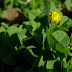 20100401_5