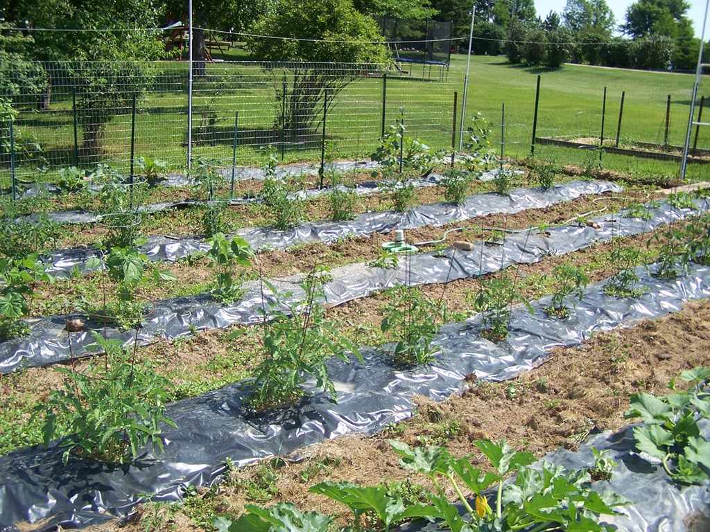 [100_2121%255B4%255D.jpg]