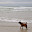 DSC_0244-2.jpg