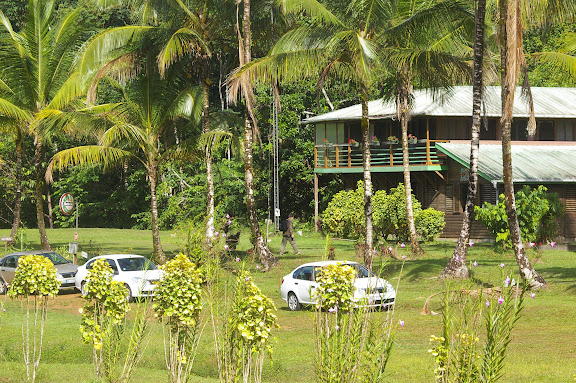 Camp Caïman, Montagne de Kaw (Guyane), 13 novembre 2011. Photo : J.-M. Gayman