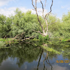 IMG_0980.JPG