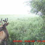 MDGC0036.JPG