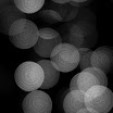 P1030708-2.JPG