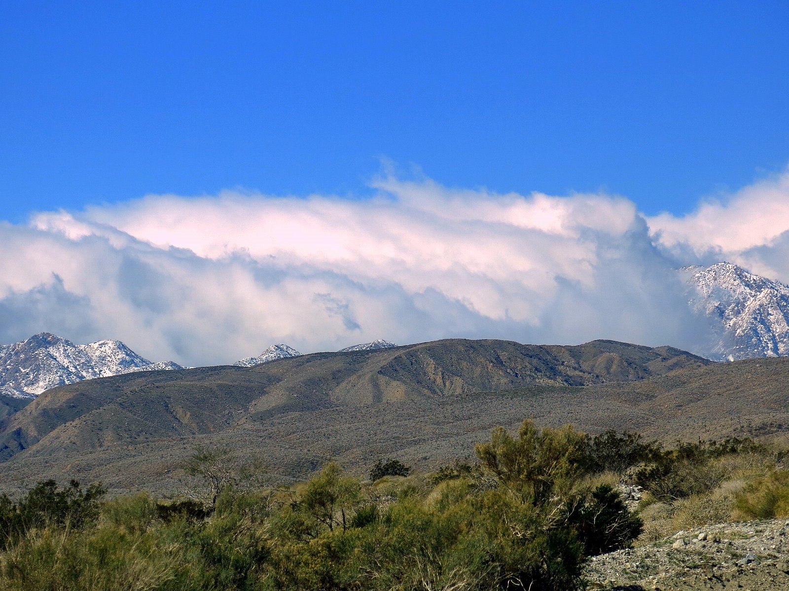 [IMG_0712%255B3%255D.jpg]