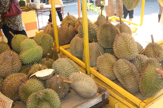 [Durian%2520Penang%2520009%255B3%255D.jpg]