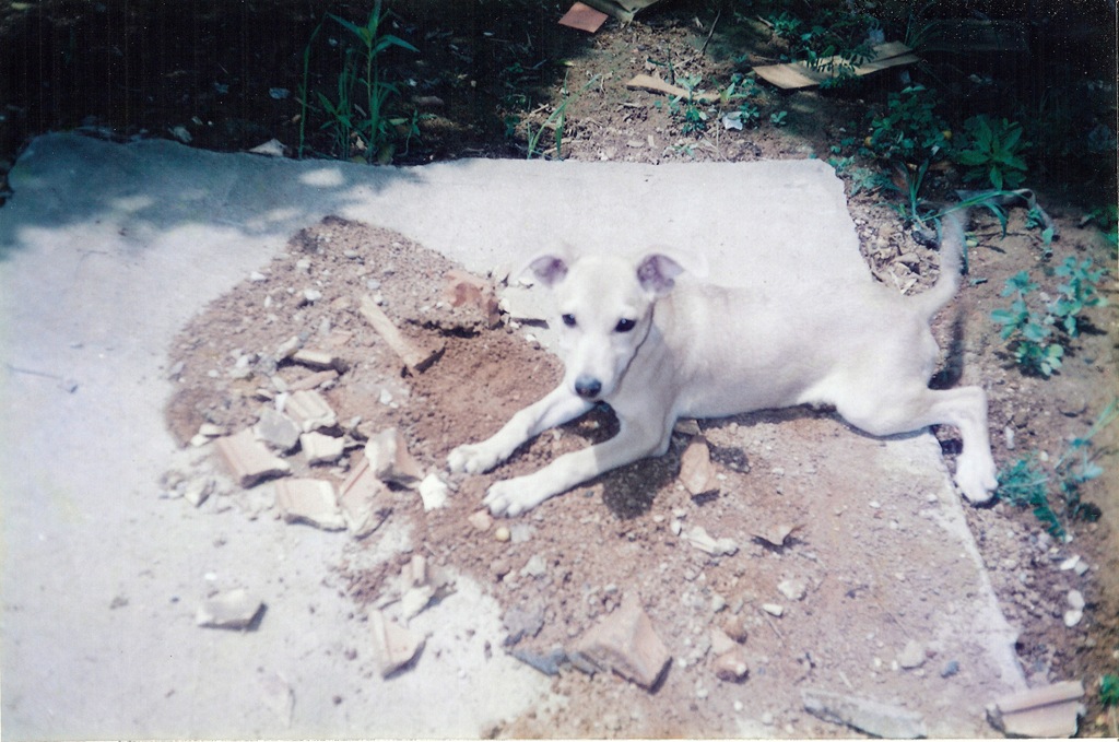 [NEGA%255B3%255D.jpg]