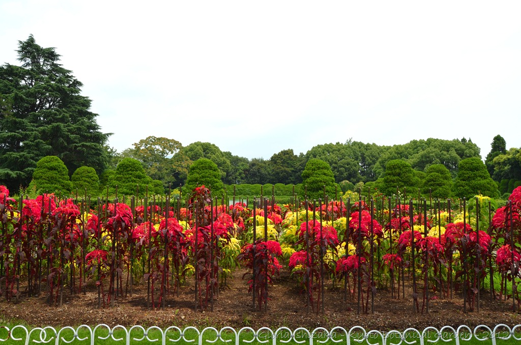 [Gl%25C3%25B3ria%2520Ishizaka%2520-%2520%2520%2520Kyoto%2520Botanical%2520Garden%25202012%2520-%2520120%255B3%255D.jpg]
