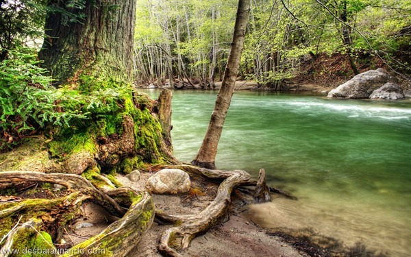 wallpapers-papei-de-parede-paisagem-natureza-nature-desbaratinando (23) wallpapers-papei-de-parede-paisagem-natureza-nature-desbaratinando (23)