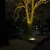 DSC00418.JPG