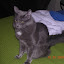 Renesme at 7 months old, Oh no  I will NOT look into that camera. No way. No How. No matter how hard you try.