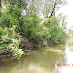 DSCN7198.JPG