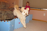 IMG_0027-8.JPG
