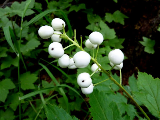 P1130358