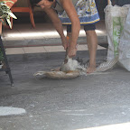 IMG_2985.JPG