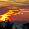 DSC_0061.JPG