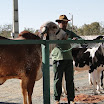 superleite2011_dia1507_04.JPG