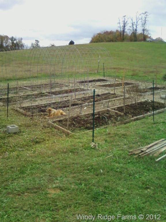 [Fall-Garden-Update-12.jpg]