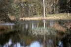 IMG_5004.JPG