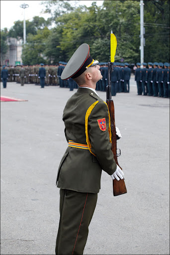 71.jpg