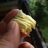 breadfruit tastes like fish mixed with potatoes :)