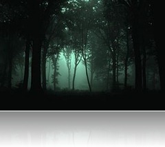 275px-Gloomy_Forest