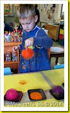 IMG_1196 IMG_1196