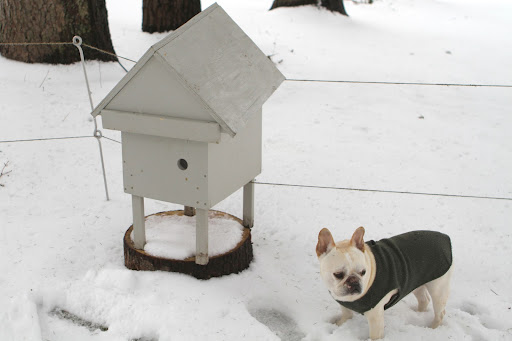 You may recall seeing this little structure on a previous blog.