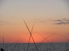 Florida 2013 Naples sunset1