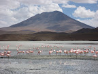 Sprachaufenthalt Bolivien