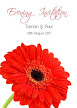 Red Gerbera 4 Folded Evening Invitation
