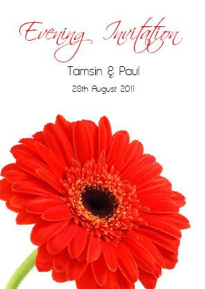 Red Gerbera 4 Folded Evening Invitation