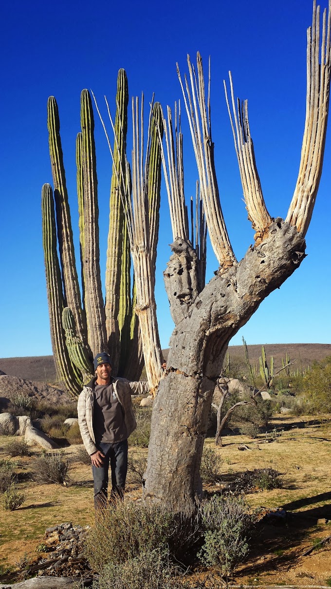 Bob with Cardon skeleton 20131229_074358.jpg