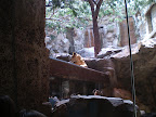 P6300045.JPG
