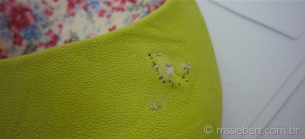 IMG_5452 IMG_5452
