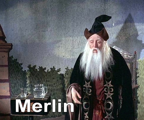 [Merlin4.jpg]