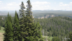 IMG_4098.jpg