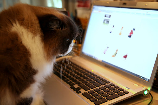The Frenchies were so nice to think of us cats and buy us that new feeder from the Martha Stewart Pets line at PetSmart.  I think I'll get them a little surprise to return the favor!