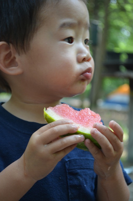 [DSC_0094%255B3%255D.jpg]
