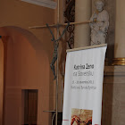 zeno 005.jpg