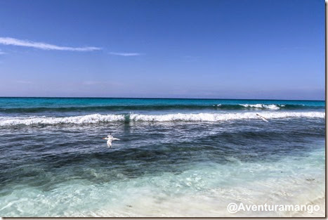 Cayo Largo, Playa Paraiso